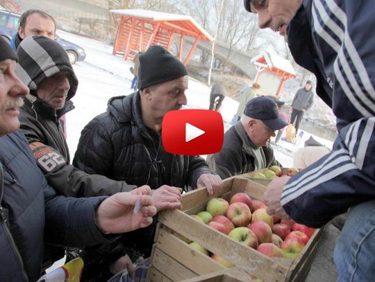 18 ton darmowych jabłek rozeszło się w mgnieniu oka - WIDEO