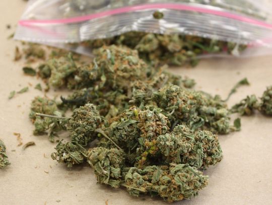 19-letni mieszkaniec Kędzierzyna-Koźla zatrzymany z marihuaną. Twierdził, że będzie tworzyć muzykę