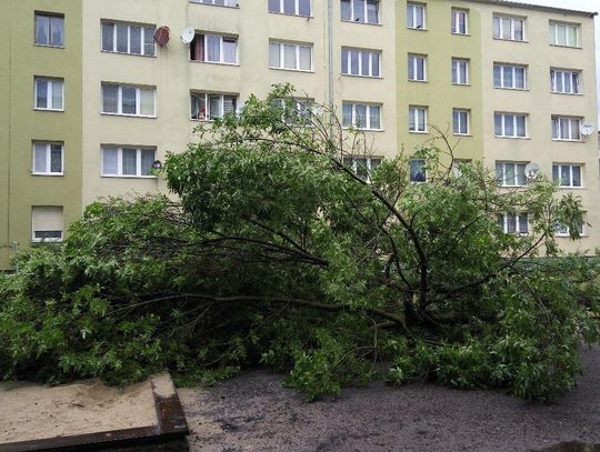 26 interwencji strażaków po wczorajszej burzy. Tym razem obyło się bez większych szkód