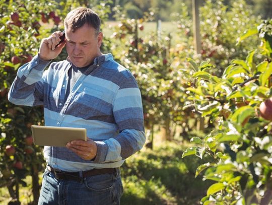 5 kwestii, które warto sprawdzić planując internet na wsi