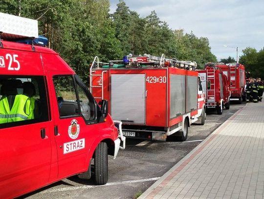 Akcja ratunkowa w Śródmieściu. Policjanci i strażacy przeczesują las w poszukiwaniu starszego mężczyzny