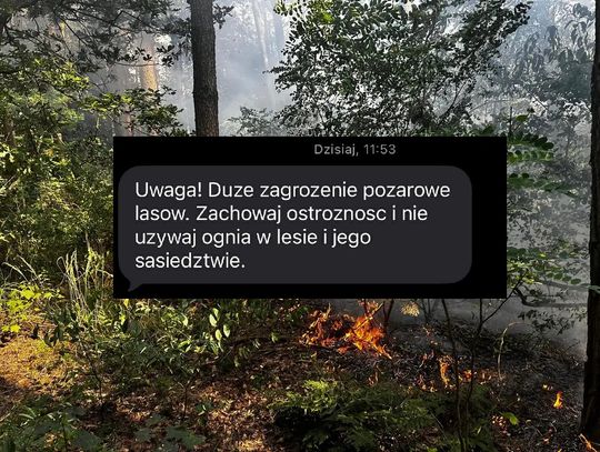 Alert RCB dla mieszkańców. Lasy w regionie zagrożone pożarami