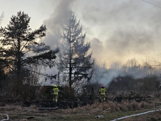 Altanka spłonęła doszczętnie. Służby interweniowały w Śródmieściu