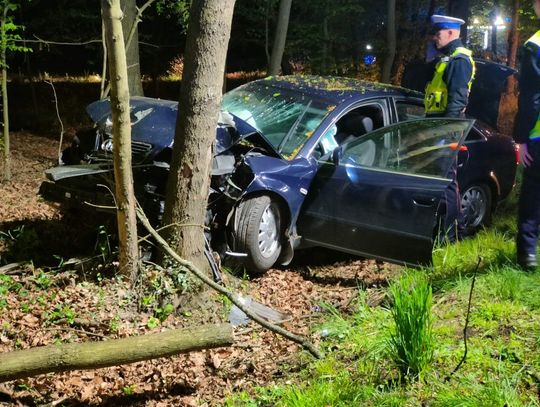 Audi wypadło z drogi i uderzyło w drzewo. Kierowca zbiegł z miejsca wypadku