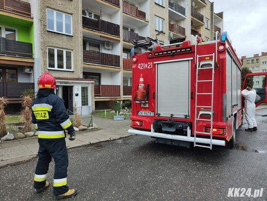 Bliscy nie mieli kontaktu z mężczyzną przebywającym w izolacji. Interwencja służb na Pogorzelcu