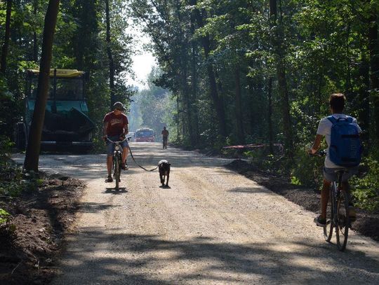 Budowa ścieżki rowerowej na Żabieniec idzie zgodnie z planem. Inwestycja na półmetku. ZDJĘCIA