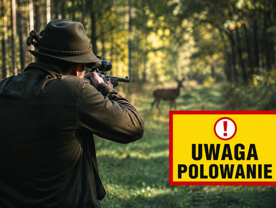Wygenerowane przez AI