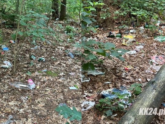 Coraz więcej śmieci w lesie za krytą pływalnią w Kędzierzynie-Koźlu. Mieszkańcy apelują o interwencję