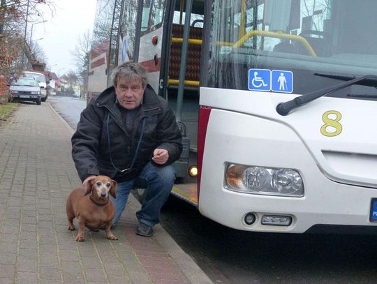 Czy w Kędzierzynie-Koźlu można zabrać psa do autobusu? Pan Janusz i jego jamnik już wiedzą