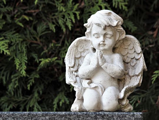Czytelniczka prosi o pomoc: ktoś sprofanował grób jej córki