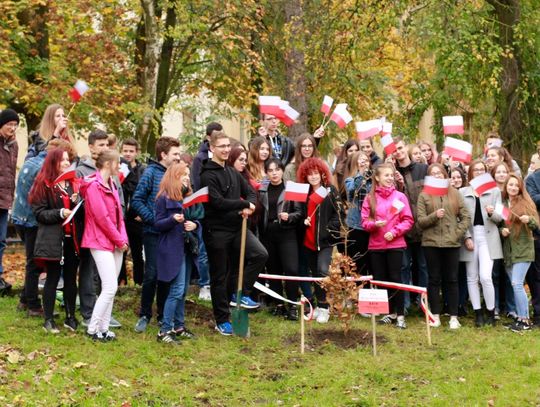 Dąb Niepodległości i kapsuła czasu - tak licealiści świętują 100-lecie odzyskania niepodległości