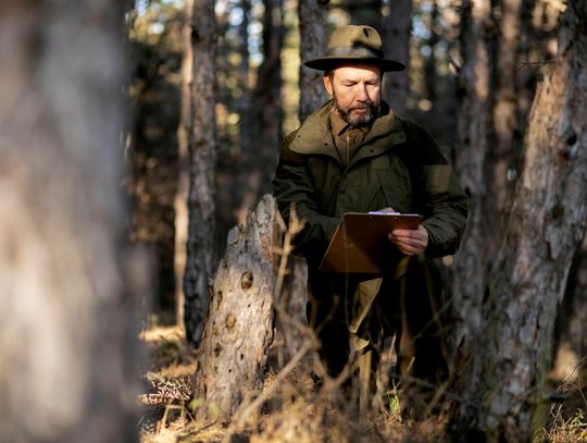 Dlaczego Holosun to wybór profesjonalistów? Przegląd najpopularniejszych modeli
