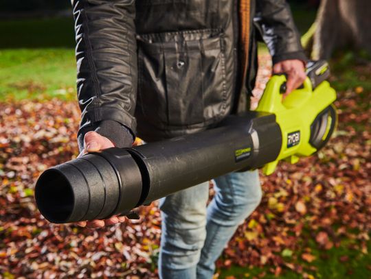 Dmuchawa do liści – jaką wybrać do mokrych liści?