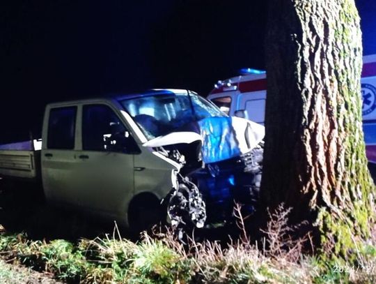 Dostawczy volkswagen czołowo uderzył w drzewo. Służby ratunkowe interweniowały w Długomiłowicach