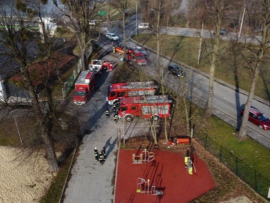 Drugi dzień poszukiwań zaginionej 74-latki. Strażacy przeszukują Odrę. ZDJĘCIA