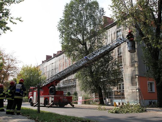 Drzewo przechyliło się nad chodnik i jezdnię. Interweniowali strażacy