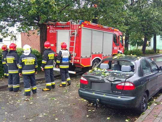Drzewo spadło na samochód. Interweniowali strażacy. ZDJĘCIA