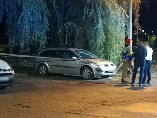 Drzewo spadło na zaparkowany samochód. Interweniowali strażacy i policja