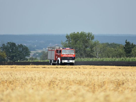 Dwa pożary pól jeden po drugim. Strażacy prowadzili akcję gaśniczą