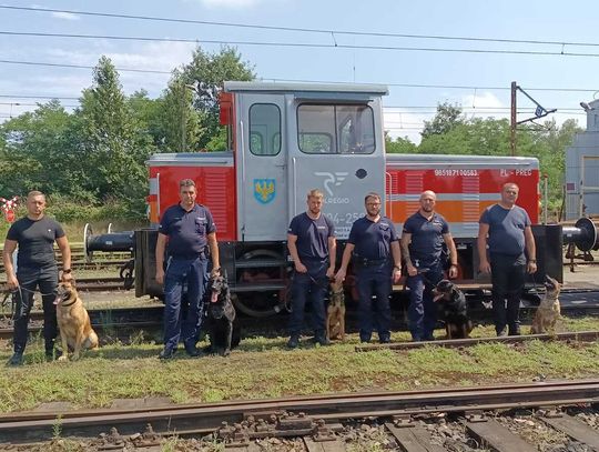 Dworzec zamienił się w poligon. Policyjne psy ćwiczyły pościgi i wykrywanie narkotyków