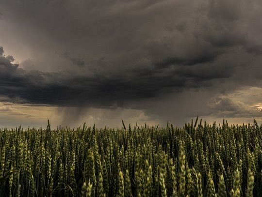 Dziś ostatni dzień tropikalnych upałów. Popołudniu możliwe burze z gradem