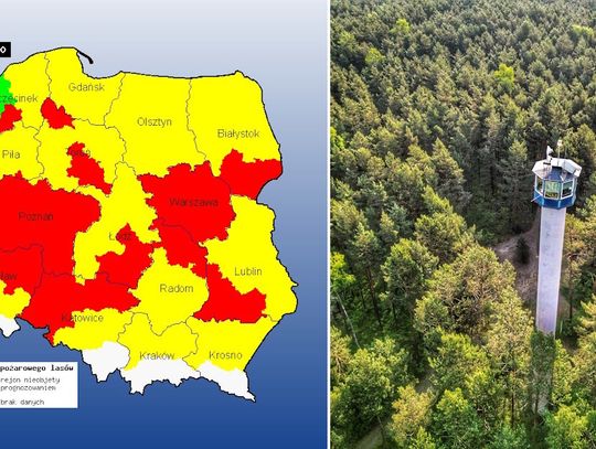 Ekstremalne zagrożenie pożarowe w opolskich lasach. Nadleśnictwo apeluje o rozwagę