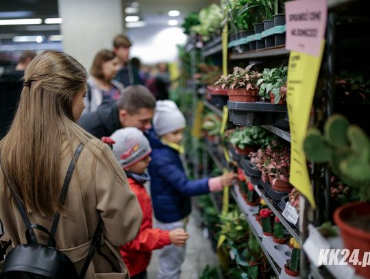 Festiwal Roślin w Kędzierzynie-Koźlu. Raj dla miłośników zieleni już w ten weekend