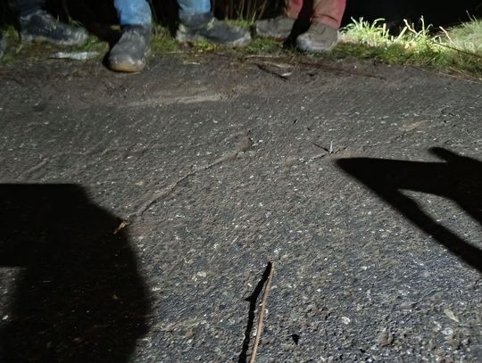 Gwoździe powbijane w asfalt. Policja poszukuje świadków i pokrzywdzonych