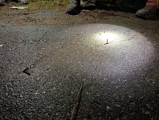 Gwoździe wbite w jezdnię między Pokrzywnicą a Komornem. Interweniowały służby