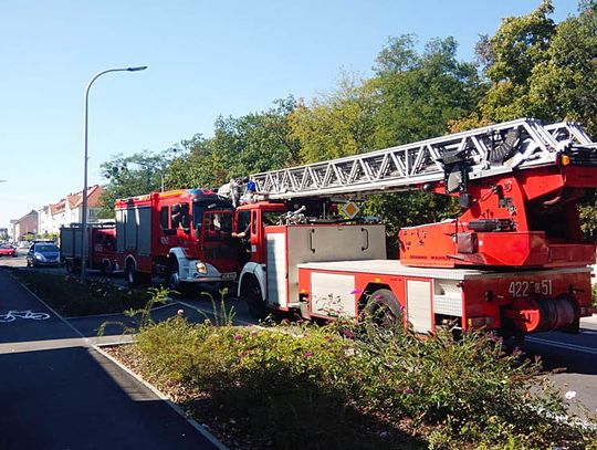 I po obiedzie. Strażacy interweniowali przy alei Jana Pawła II