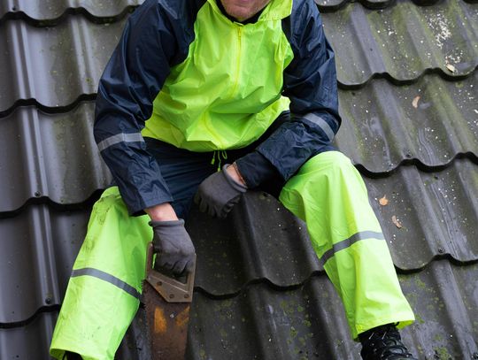 Ile może kosztować naprawa szkód po kunach i od czego zależy wycena?