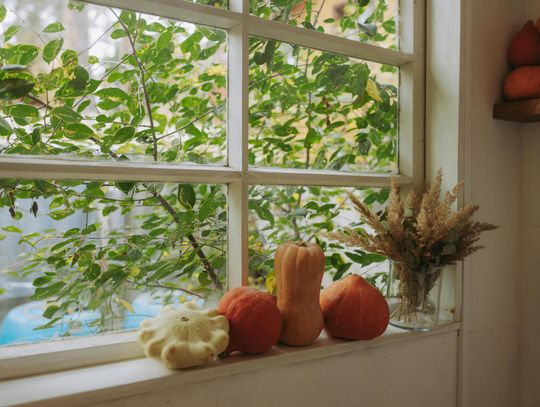 Jak dobrać parapety wewnętrzne do stylu wnętrza? Kompletny poradnik