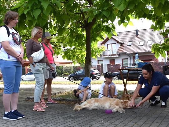Jak pomóc pupilowi w nagłej sytuacji? W niedzielę praktyczne szkolenie na wybiegu dla psów w Koźlu
