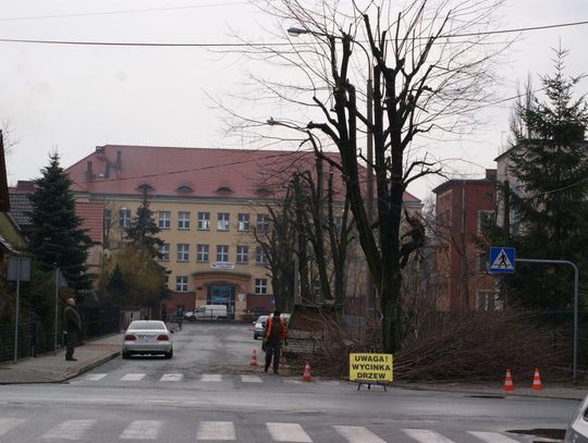 Jesienią straciły liście, wiosną gałęzie. Ruszyły prace pielęgnacyjne na osiedlach