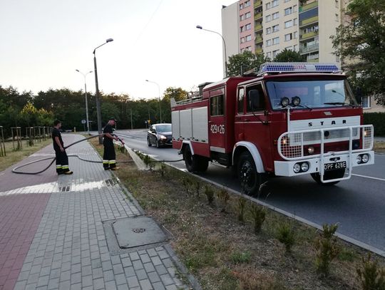 Jest tak sucho, że miasto poprosiło o pomoc w podlewaniu strażaków z OSP