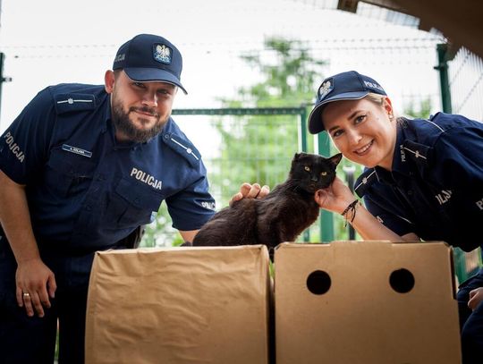 Kędzierzyńscy policjanci z sercem dla zwierząt. Zachęcają do adopcji bezdomnych czworonogów