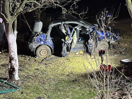 Kierowca forda wjechał w drzewo, auto dachowało. Jeden z pasażerów został ciężko ranny. ZDJĘCIA