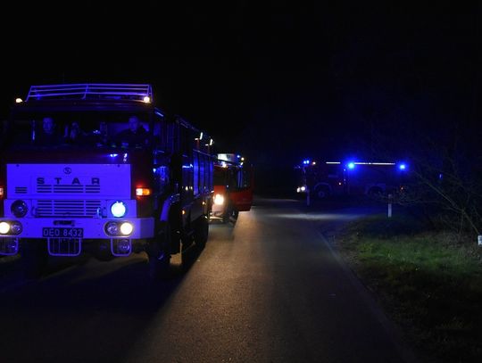 Kierowca zauważył ogień w lesie. Nocna interwencja kędzierzyńskich strażaków w Niezdrowicach