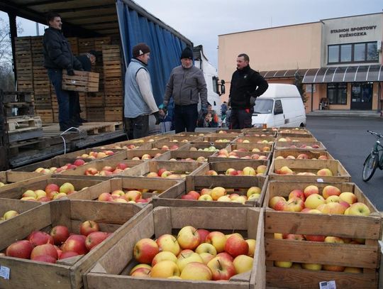 Kilkanaście ton darmowych jabłek znów trafi do mieszkańców Kędzierzyna-Koźla