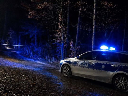Wygenerowane przez AI