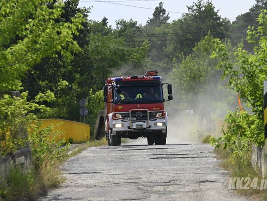Kolejne dwa pożary w lesie. Służby w akcji między Śródmieściem, Azotami a Sławięcicami