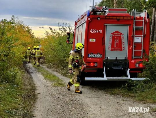 Kolejny pożar lasu między Śródmieściem a osiedlem Azoty. Służby podejrzewają podpalenia