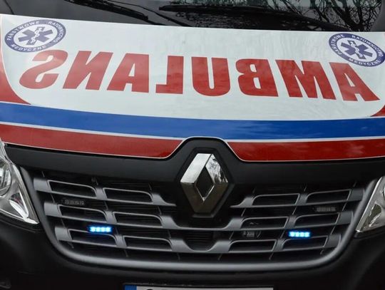 Koń wtargnął na piknik z okazji Dnia Dziecka. Ranna dziewczynka, właściciel zwierzęcia pod wpływem alkoholu