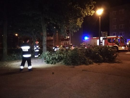 Konar runął na osiedlowy parking. Interweniowali strażacy