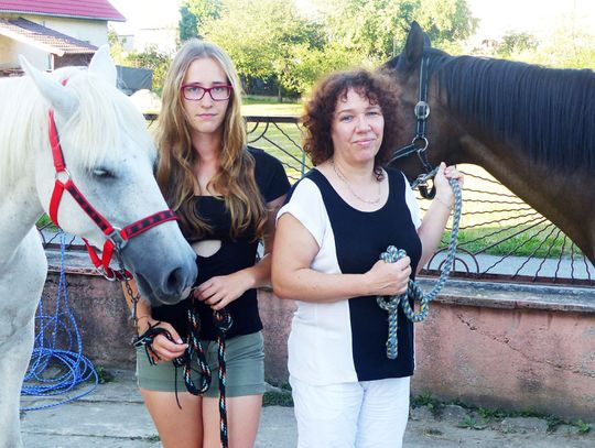 Konie, które podzieliły mieszkańców i radnych. Przepisy zakazujące hodowli mogą zostać zmienione