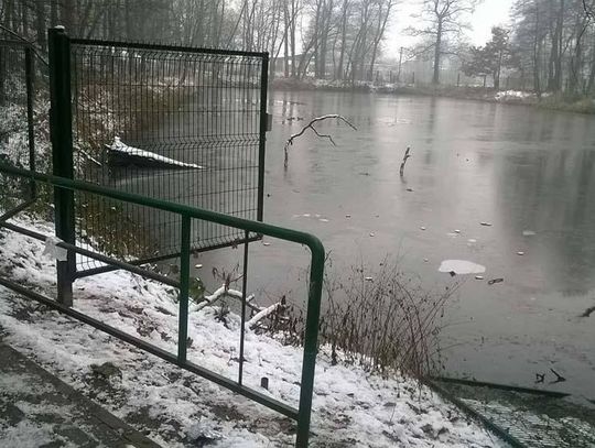 Ktoś zniszczył ogrodzenie stawu w parku. Rodzice boją się o dzieci idące do szkoły