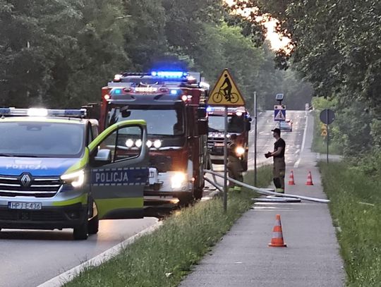 Las między Azotami a Piastów znów w ogniu. Strażacy walczyli pożarem