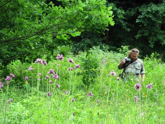 Ma oko do drzew. Mieszkaniec Kędzierzyna-Koźla wygrał konkurs fotograficzny Zespołu Opolskich Parków Krajobrazowych