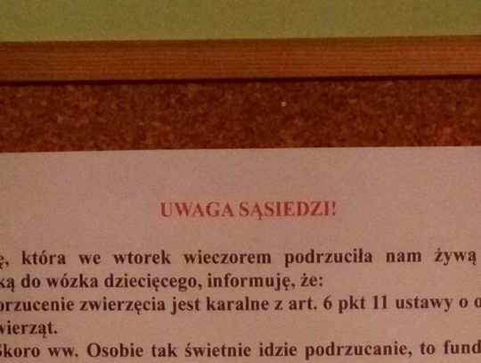 MATOŁKI: Sąsiedzkie porachunki czy zwykła ludzka głupota?