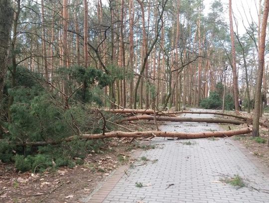 Meteorolodzy ostrzegają: wieczorem i w nocy znów będzie bardzo mocno wiało